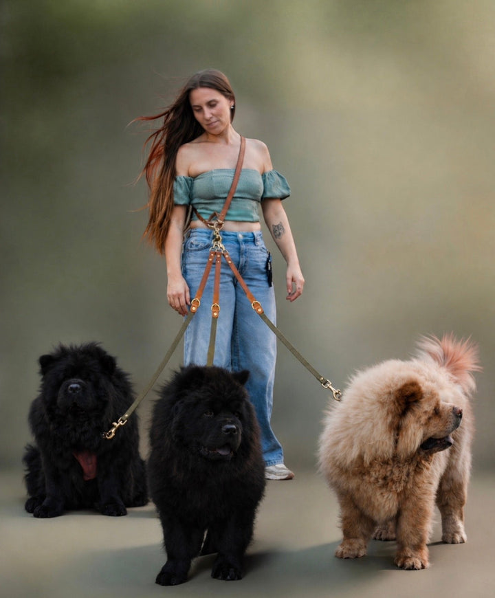 The KYN Walking System
