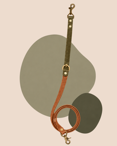 The Urban Leash - 1.6mts