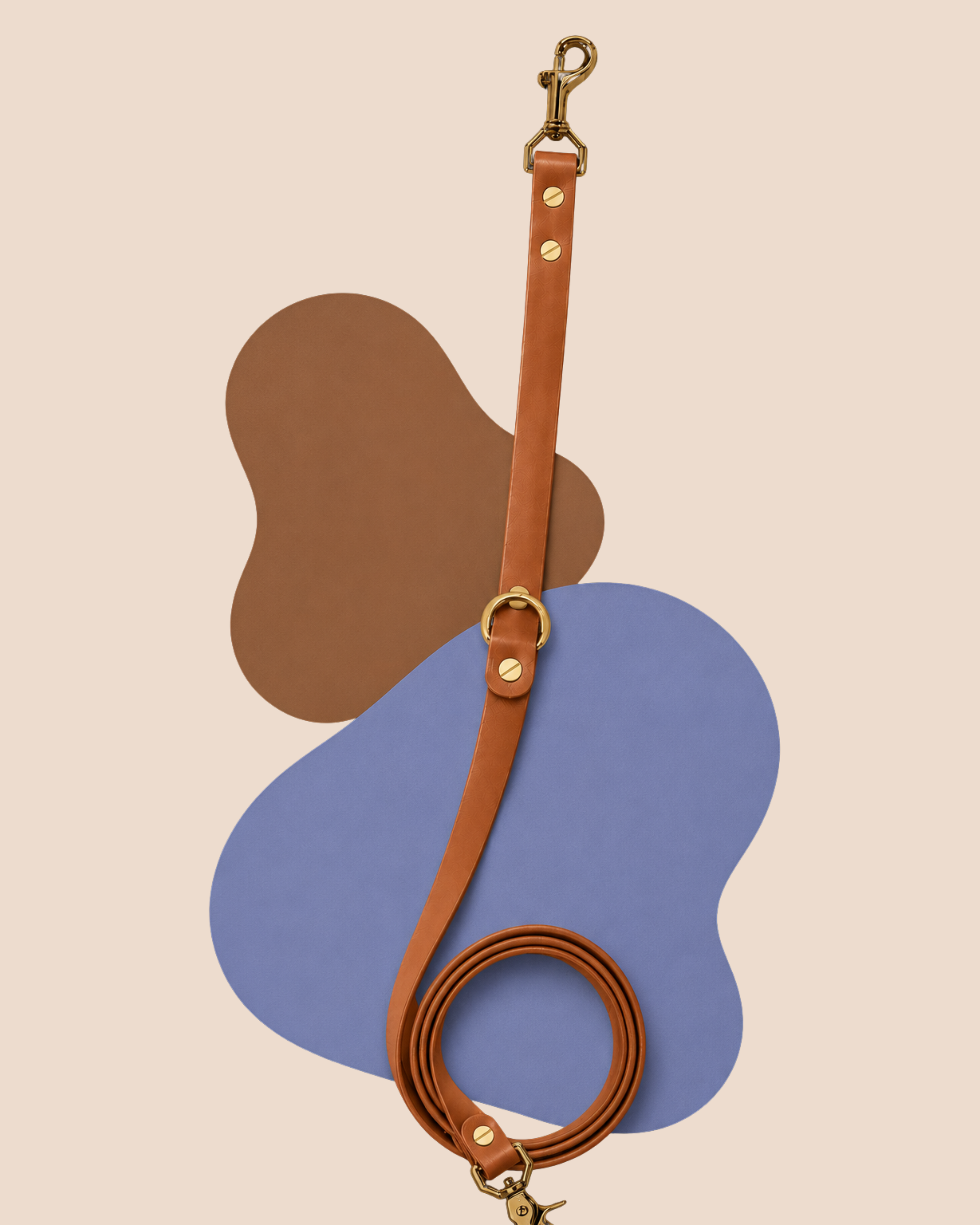 The Urban Leash - 1.2mts