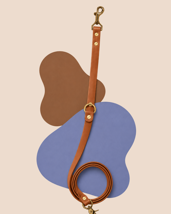 The Urban Leash - 1.2mts