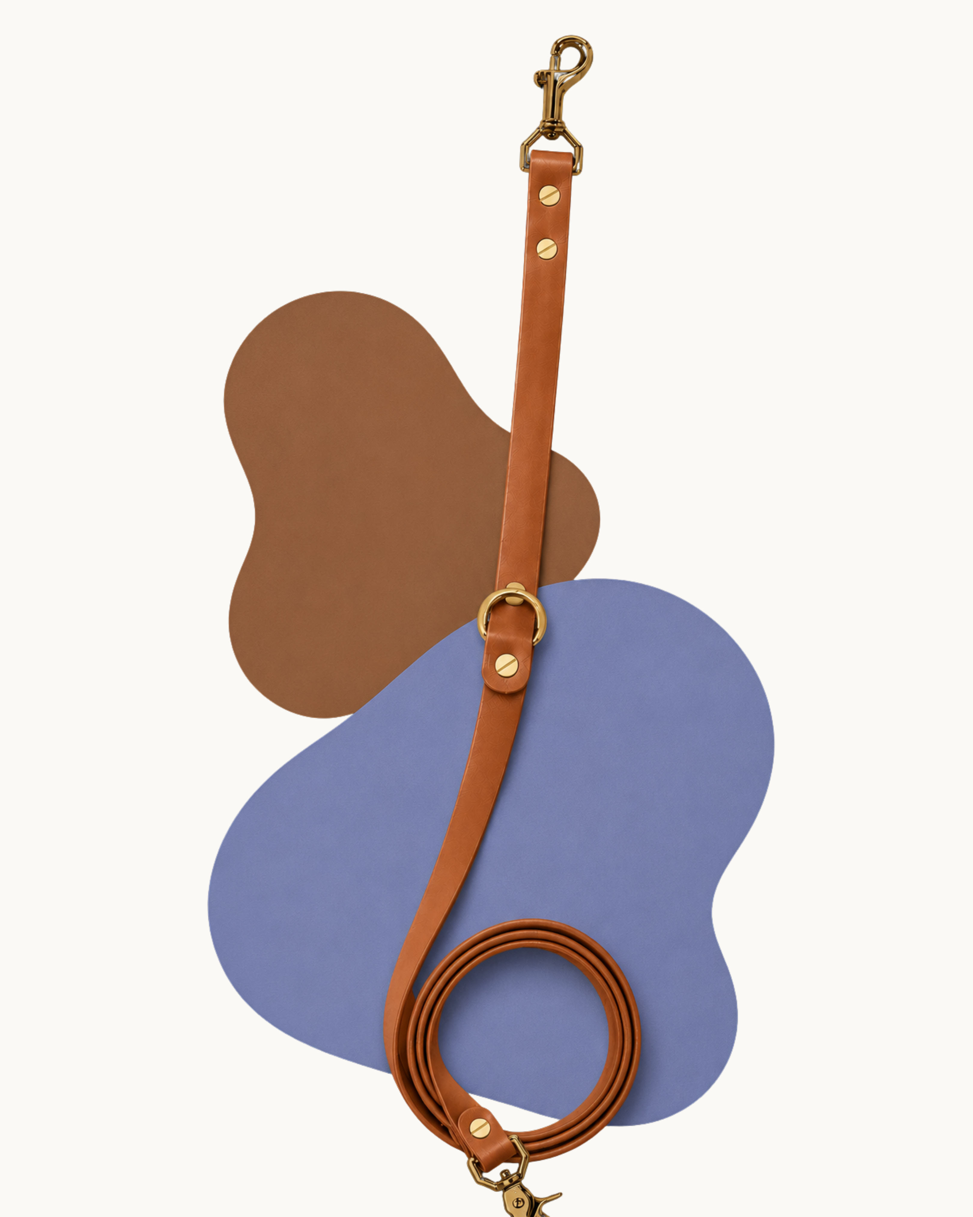 The Urban Leash - 1.6mts