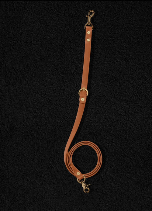 The Urban Leash - 1.6mts