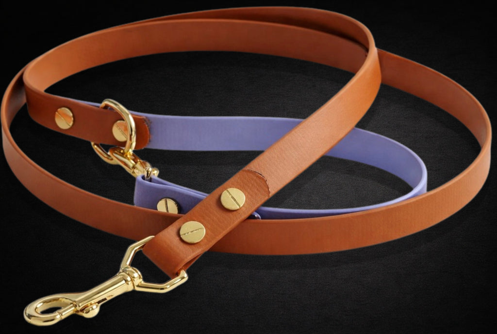 The Urban Leash - 1.2mts