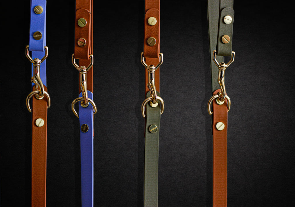 The Urban Leash - 1.6mts