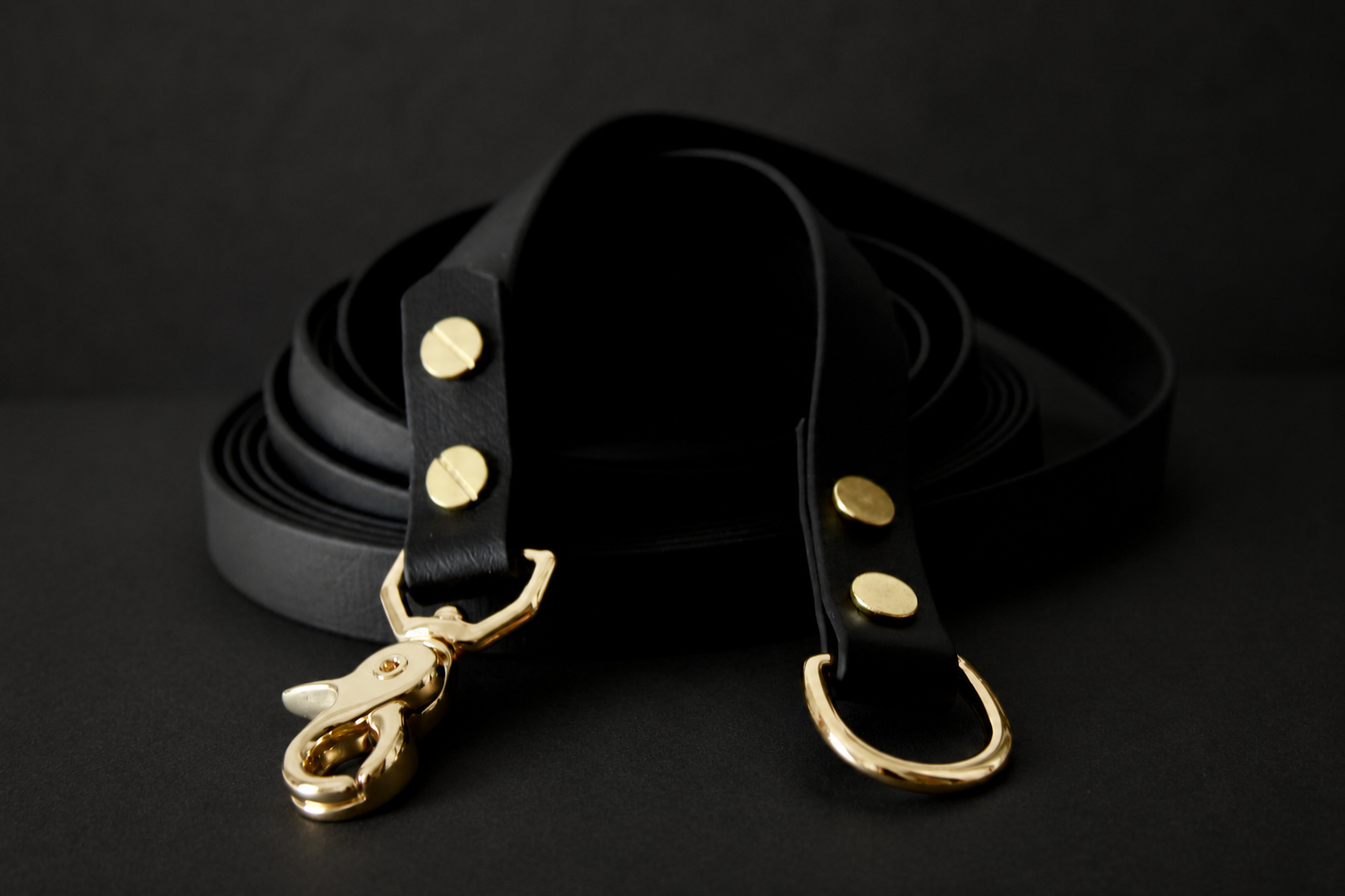 The Urban Long Leash 5m