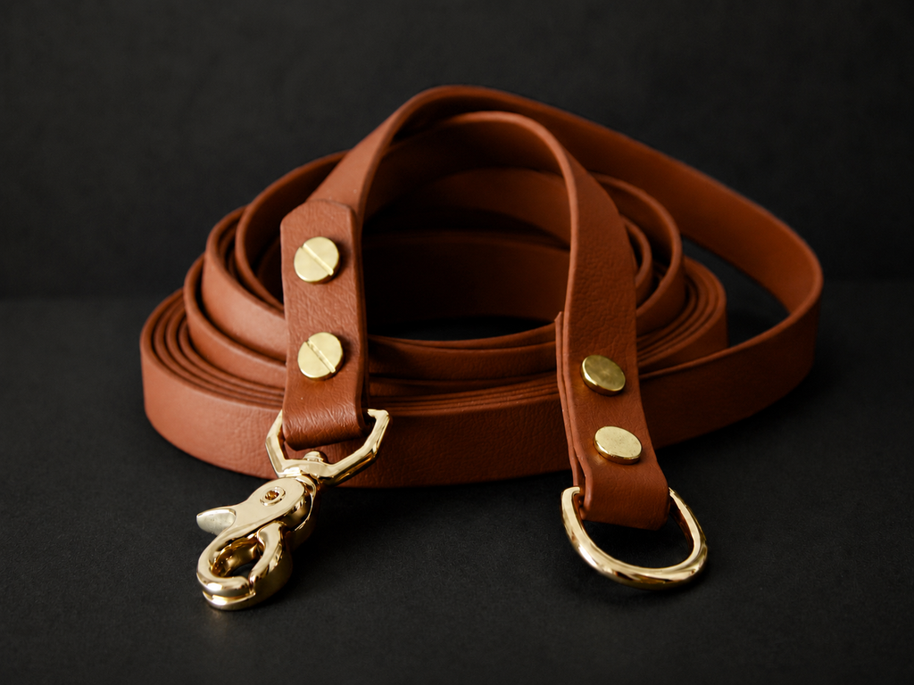 The Urban Long Leash 3m