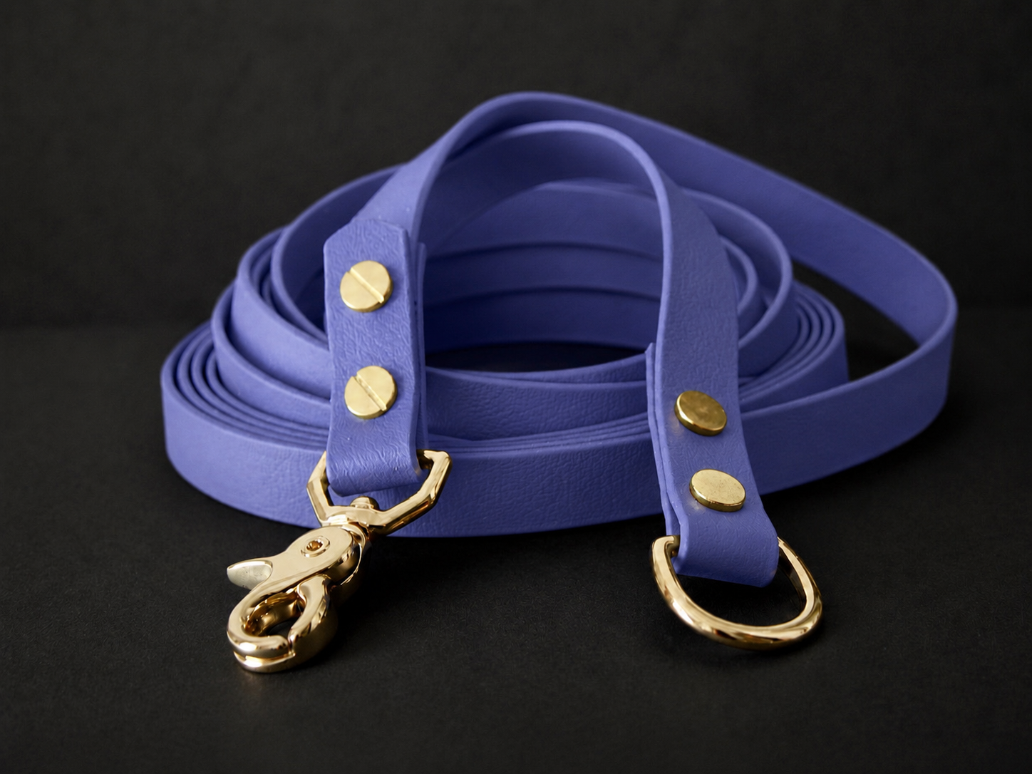 The Urban Long Leash 5m