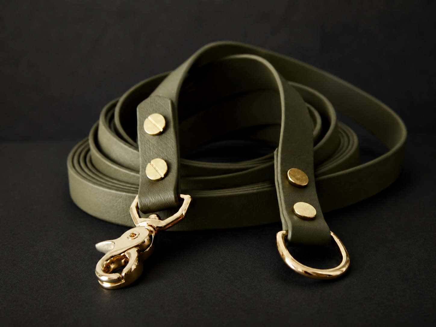 The Urban Long Leash 5m